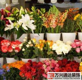 鮮花店裝修效果圖鮮花店裝修效果圖大全 土巴兔花店設計